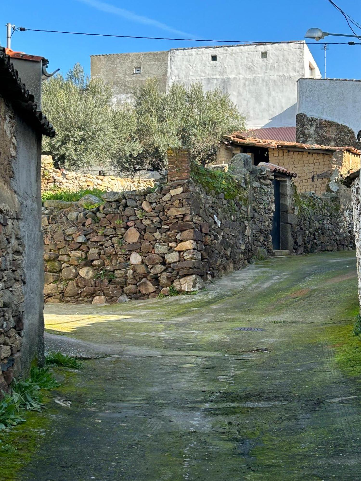 Casa Rural La Manzanilla Salvatierra de Santiago Luaran gambar